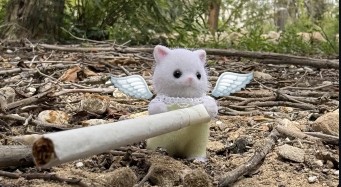 ray ( والله بنت ) tweet media