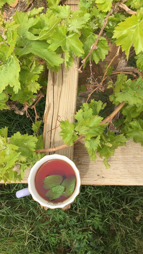 شـموخ🌨️ tweet media