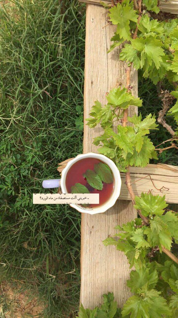 شـموخ🌨️ tweet media