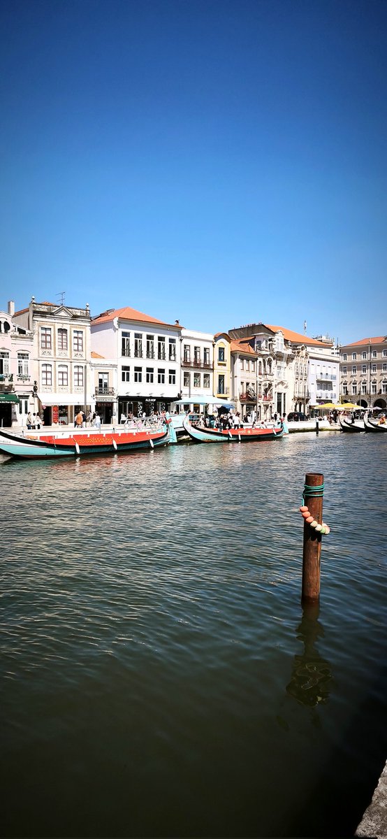 Sandra.💀 tweet media