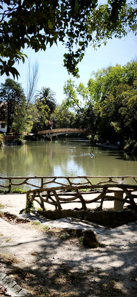 Sandra.💀 tweet media