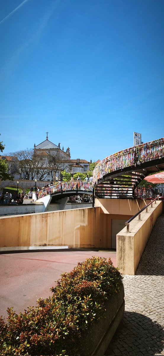 Sandra.💀 tweet media