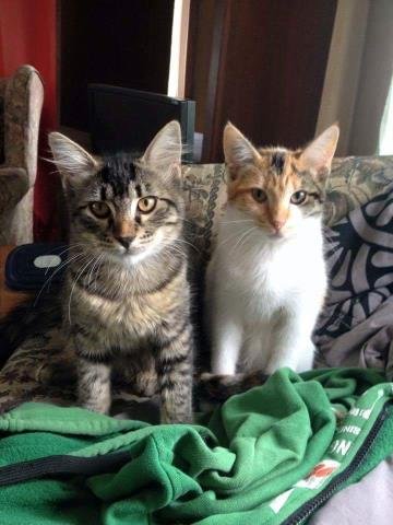 XxScaleHealerxX tweet media