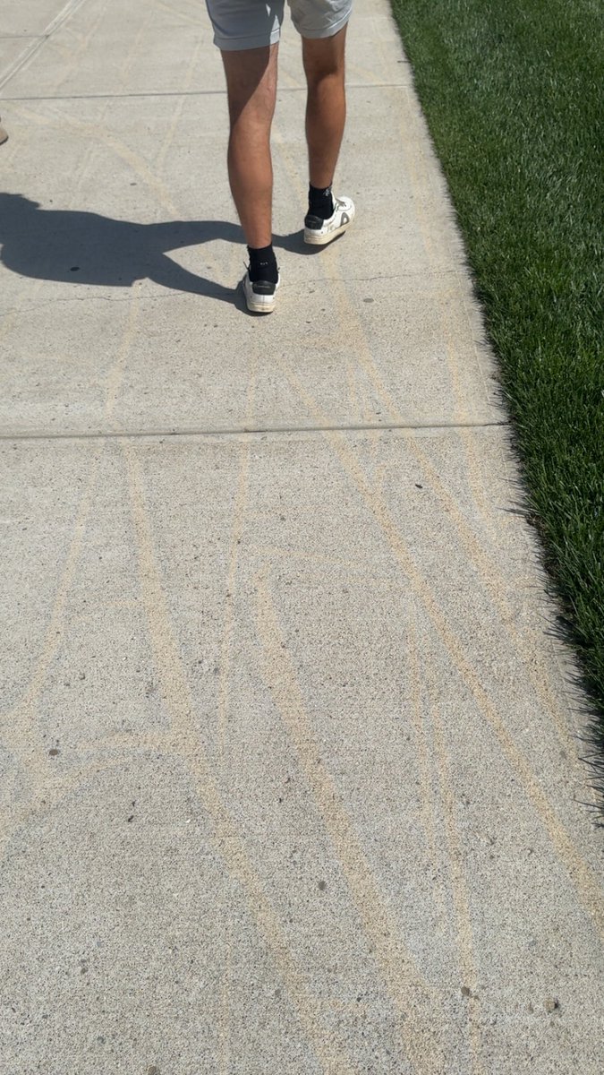 Shiviam “Barbour jacket” Mittel tweet media