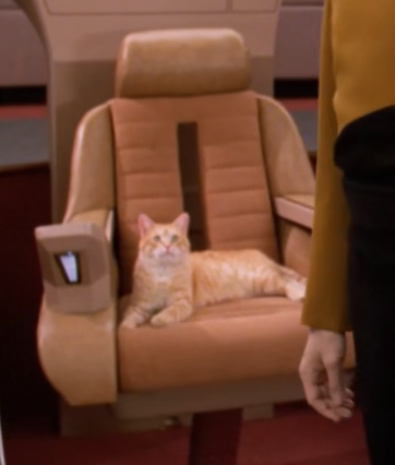 Jules 🪐 tweet media