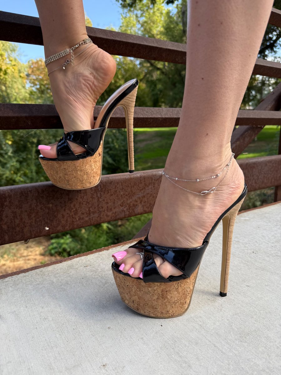 missheels07 tweet media