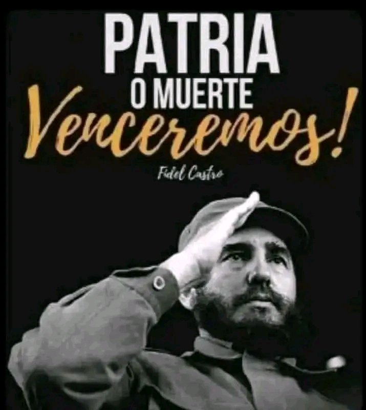 Enoida Castillo Hernández tweet media