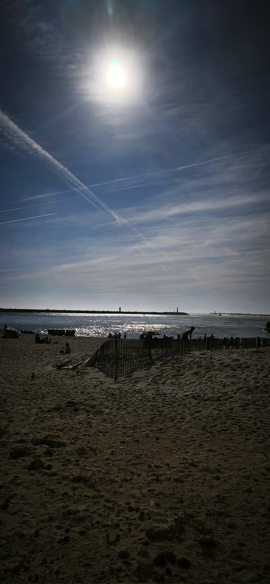 Sandra.💀 tweet media