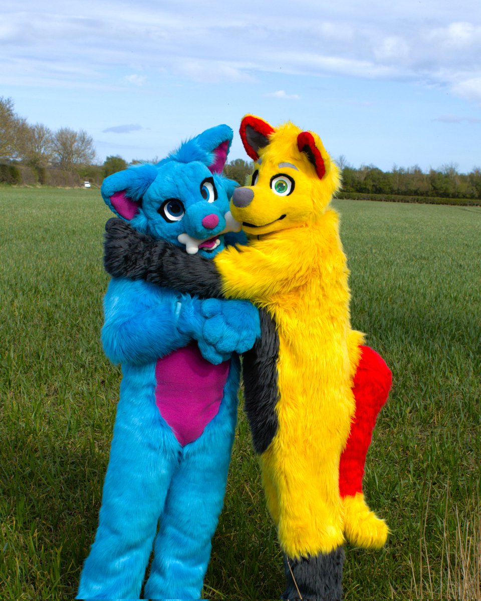 BlakeHusky🐾🦴 tweet media