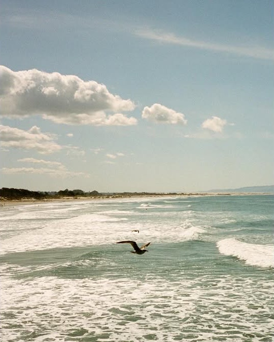 GoSantaMonica's tweet image. Surf’s up, Santa Monica. 🤙🩵

Obsessed with these stunning captures by @ framedbyjack on IG 🏄

#vacation #santamonica #beach #travel #filmphotography