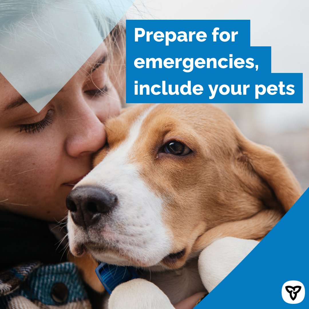 Muskoka Lakes Fire Department tweet media