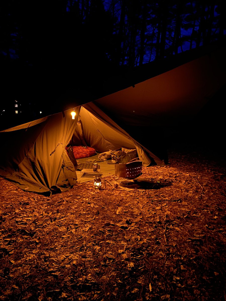 たもCAMP🏕 tweet media