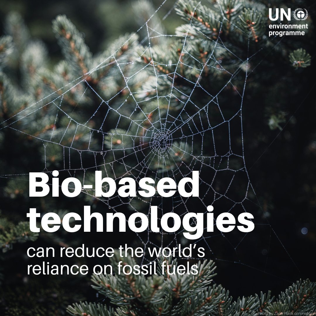 UN Environment Programme tweet media