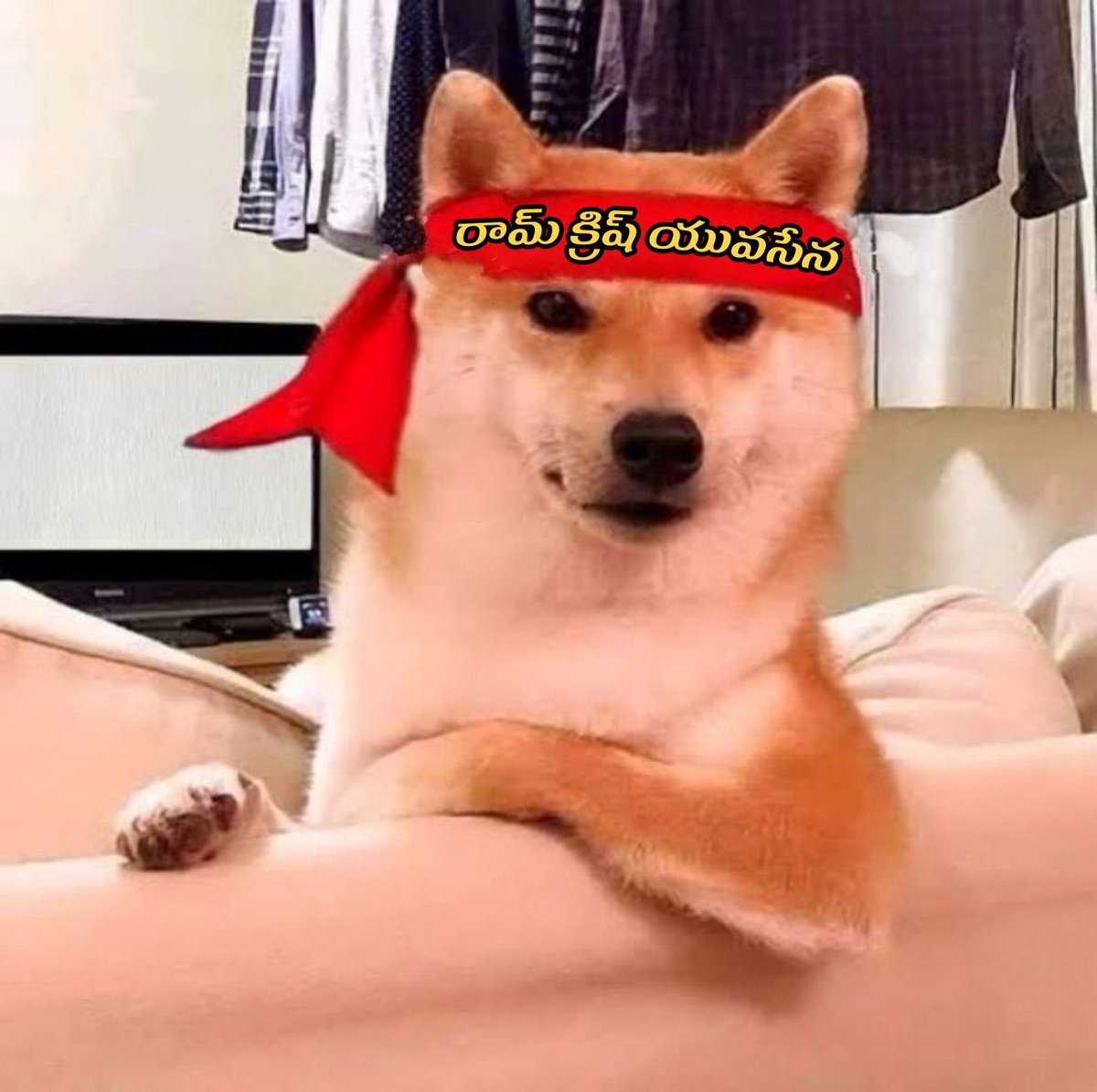 Avaneesh 🐯 Cult 🐉 tweet media