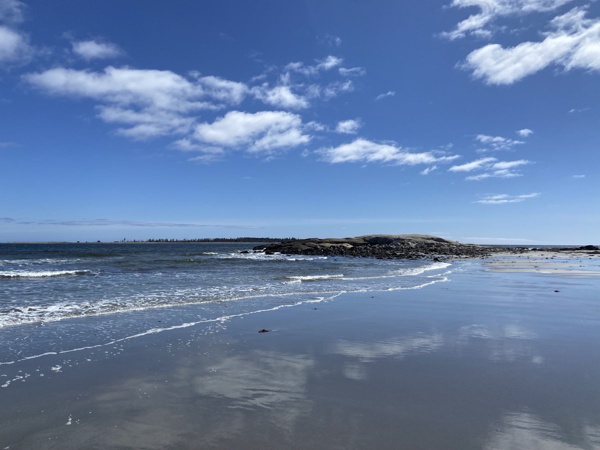 DrummerBoy2112's tweet image. Beach Meadows Beach on a sunny April afternoon.
#reflections #NovaScotia #Canada