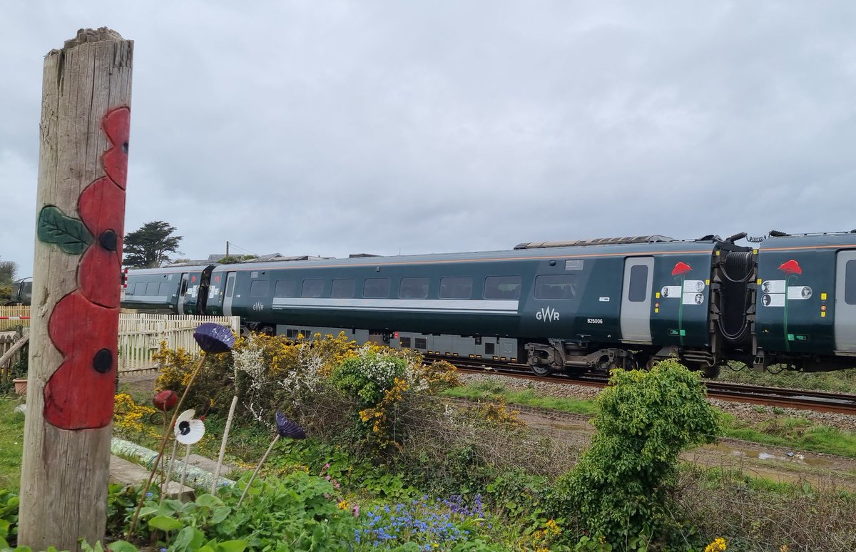 Poppy Train Ribbon of Poppies 🌸 🌎 🌸 (@RibbonofPoppies) / Posts / X