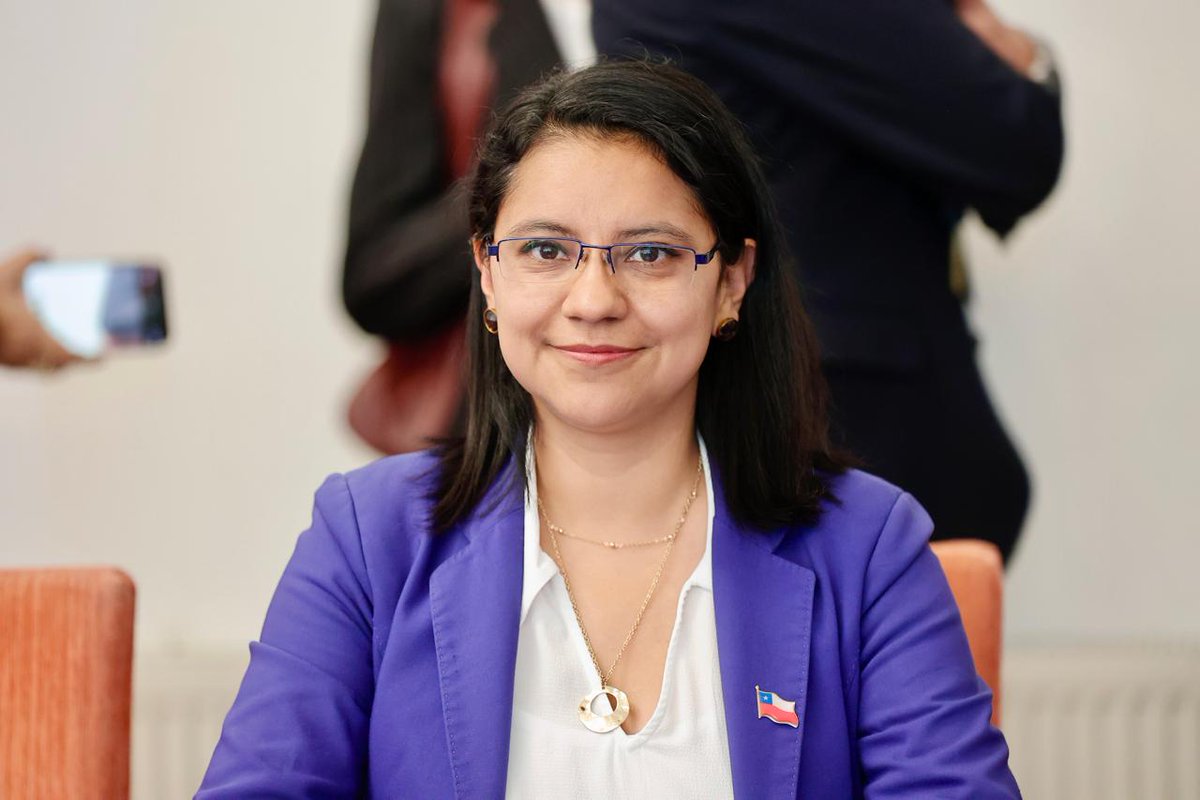 Seremi Mujer y Equidad de Género Biobío tweet media