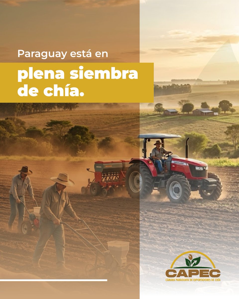 Cámara Paraguaya de Exportadores de Chía - CAPEC tweet media