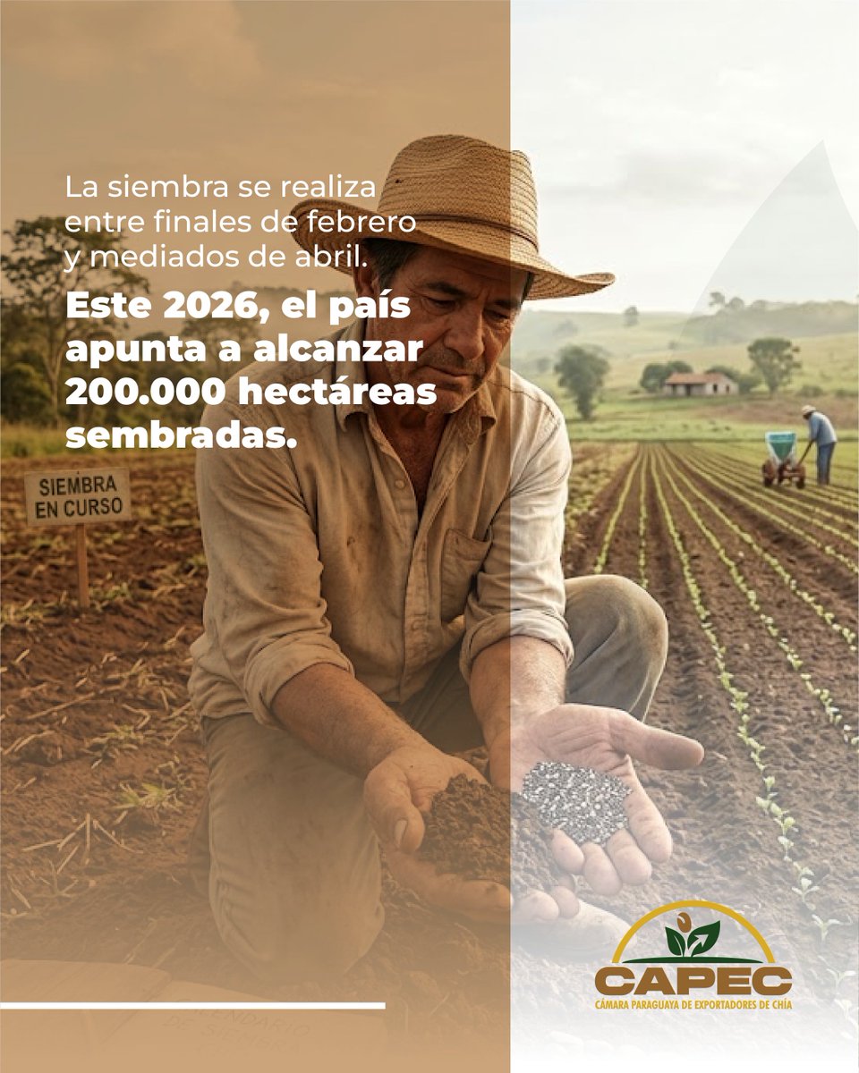 Cámara Paraguaya de Exportadores de Chía - CAPEC tweet media