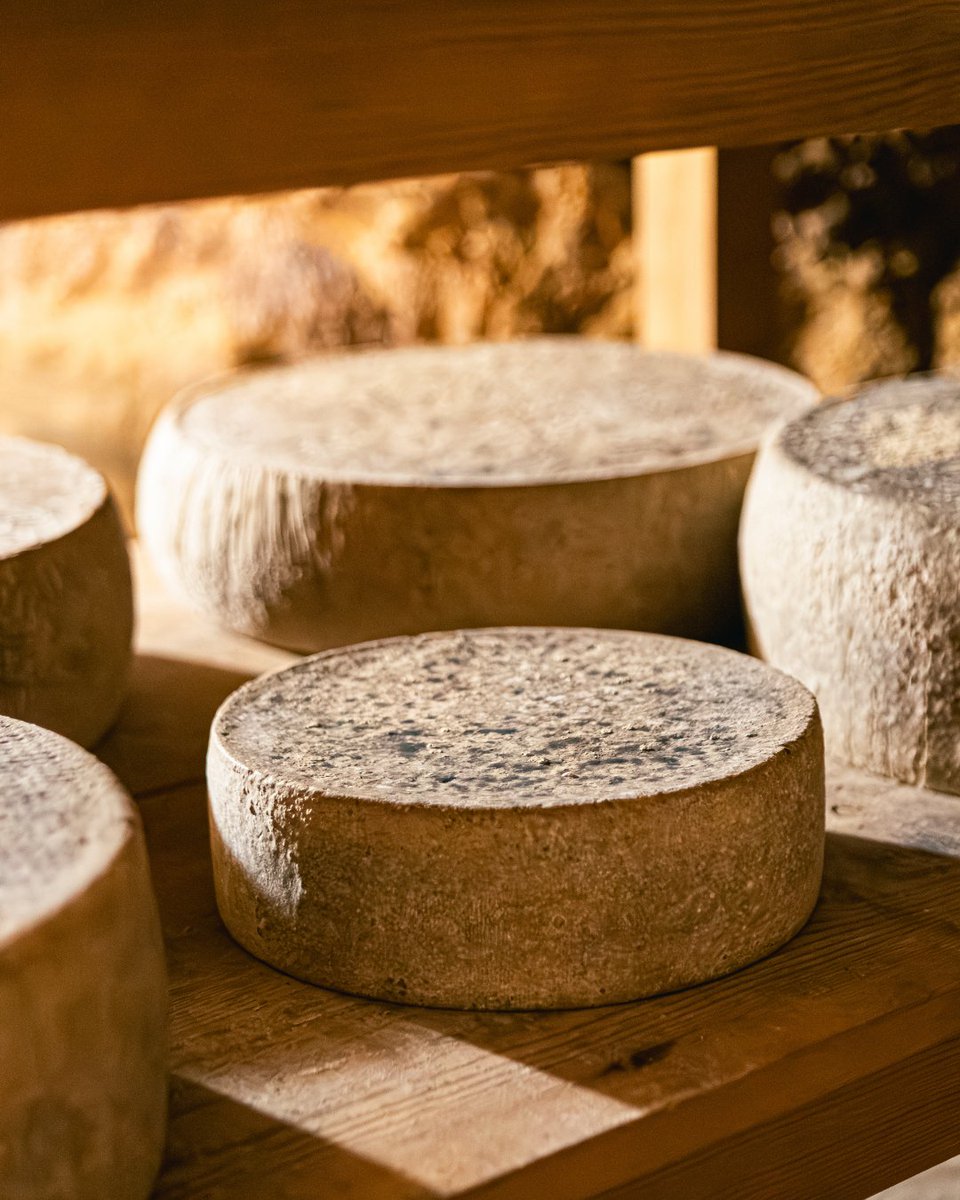 BenvingutsPages's tweet photo. El formatge no és un producte. És temps. És llet, mans, temperatura i la paciència de qui sap esperar que cada peça trobi el seu punt. 🧀

Explora els productors de formatge a:
https://t.co/1nnF7eqdP8 

#BenvingutsAPagès #FormatgeCatalà #FormatgeArtesà #ProducteLocal https://t.co/dShYcGvRIT