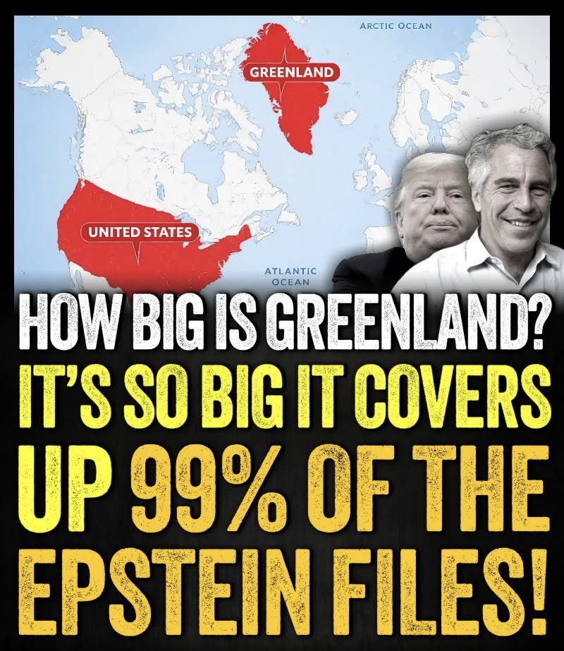 MikePommels™️ tweet media