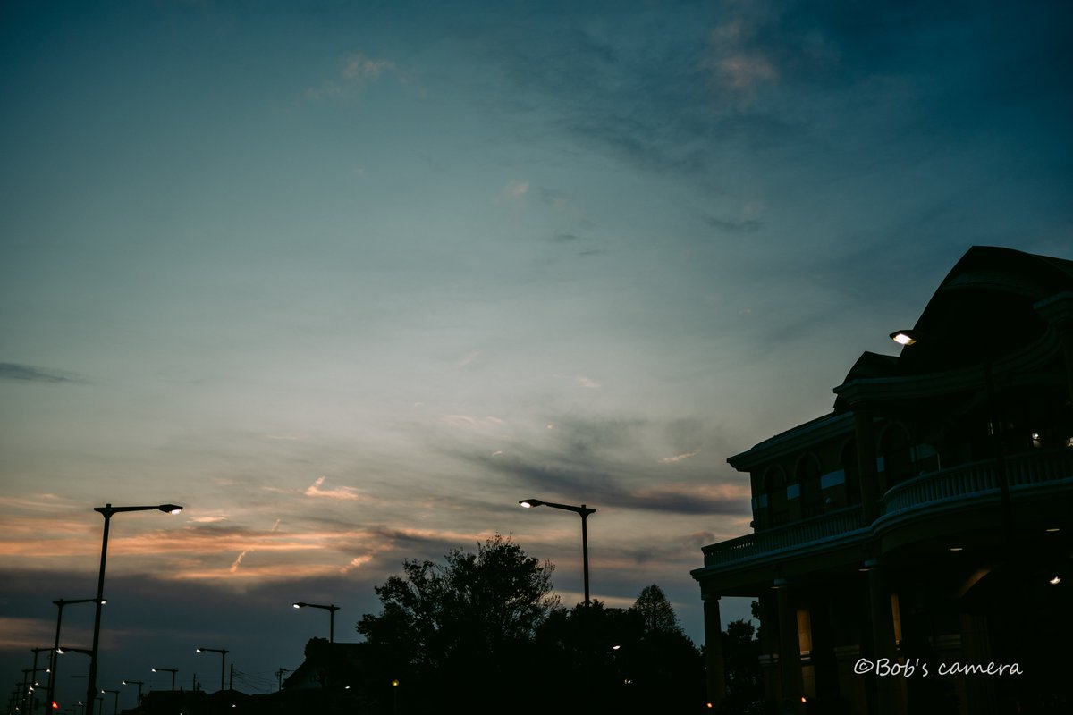 よボブ tweet media