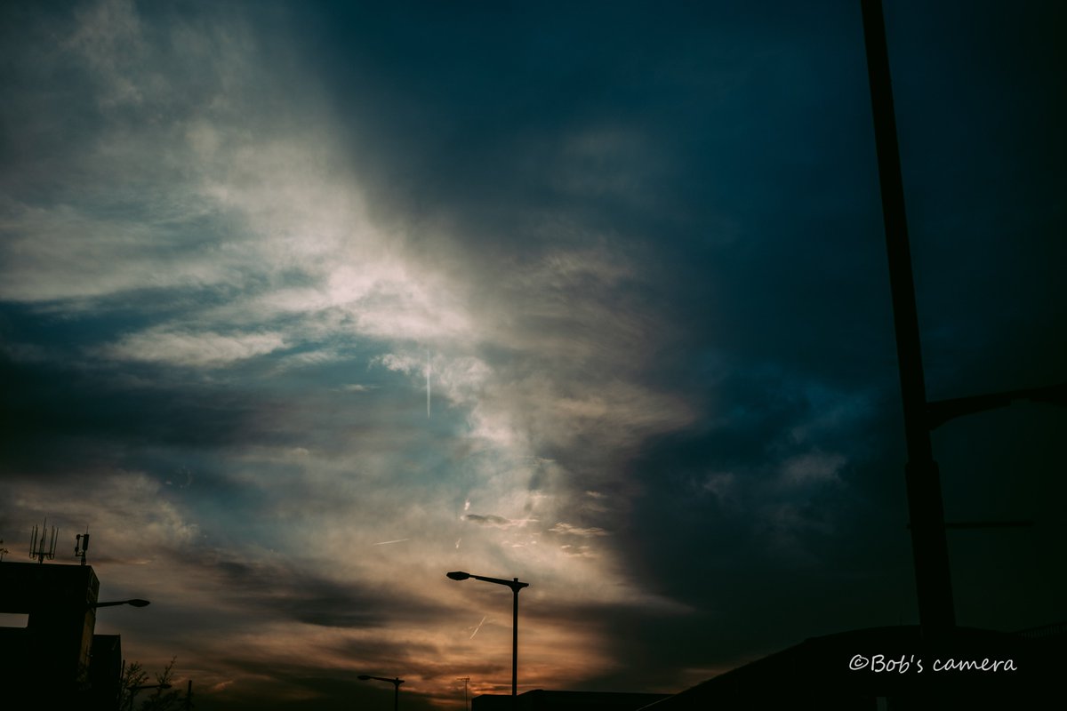 よボブ tweet media