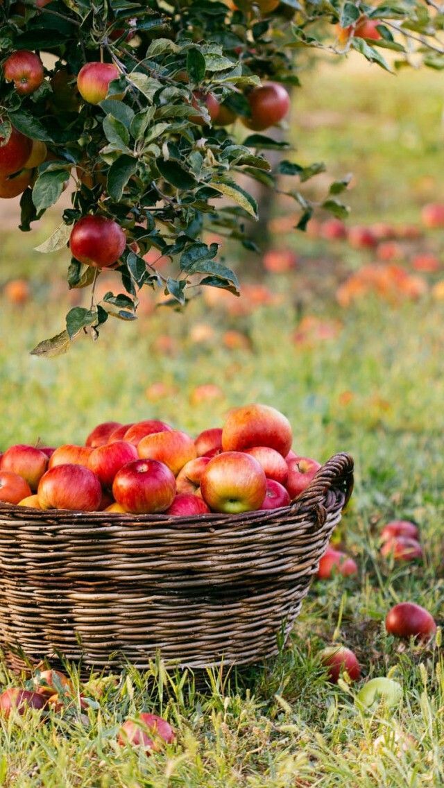 *loving boy* tweet media