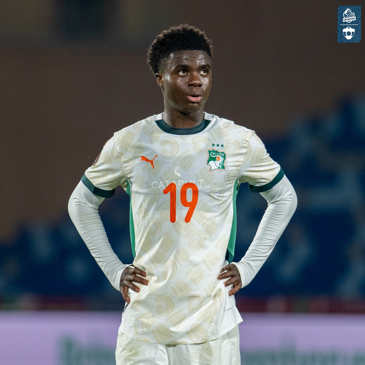 Footballogue tweet media