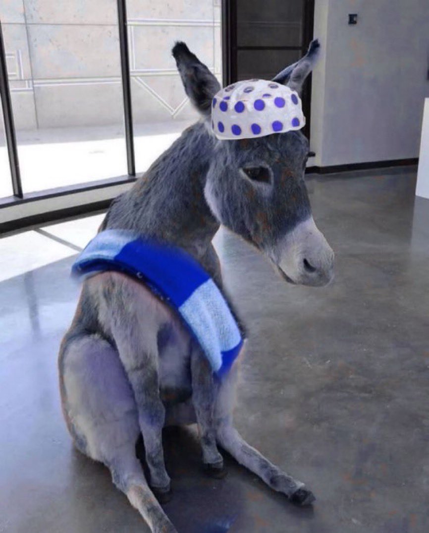 العوسج tweet media