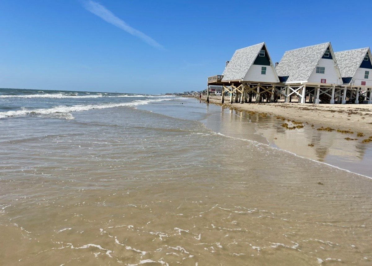 Alania Rose 🌸 tweet media