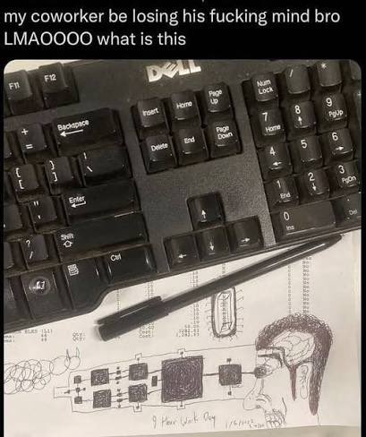 eddie 🐄 tweet media