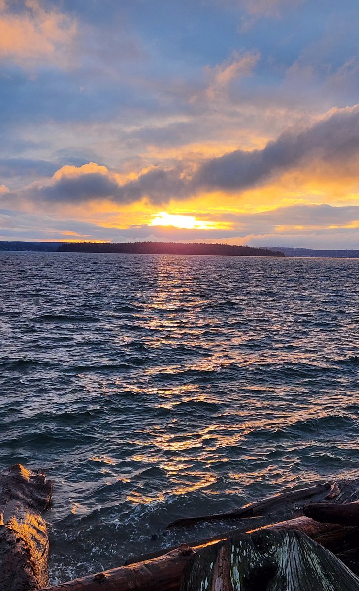 gentlystewed tweet media