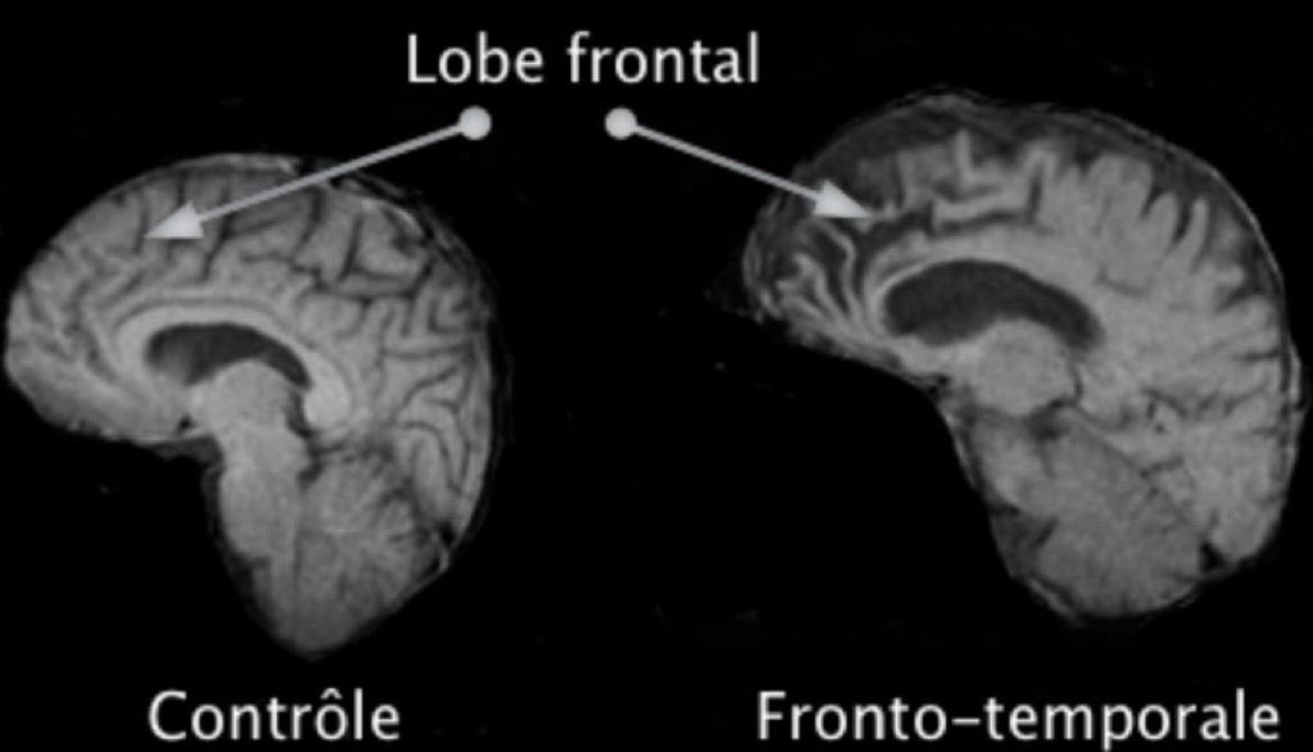 ummjuneyd tweet media