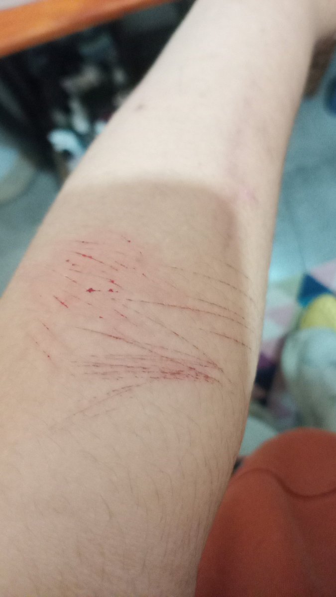 ✶ ˙ 𝙑𝘪𝘤 ❜ // 𝙎𝘩𝘦𝘥𝘵𝘸𝘵 tweet media