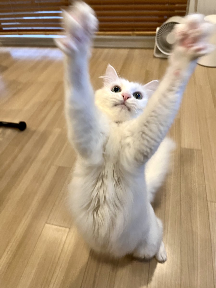 𝘕⧹ₐᵐⅇ ɱ｡₥öᵢ tweet media