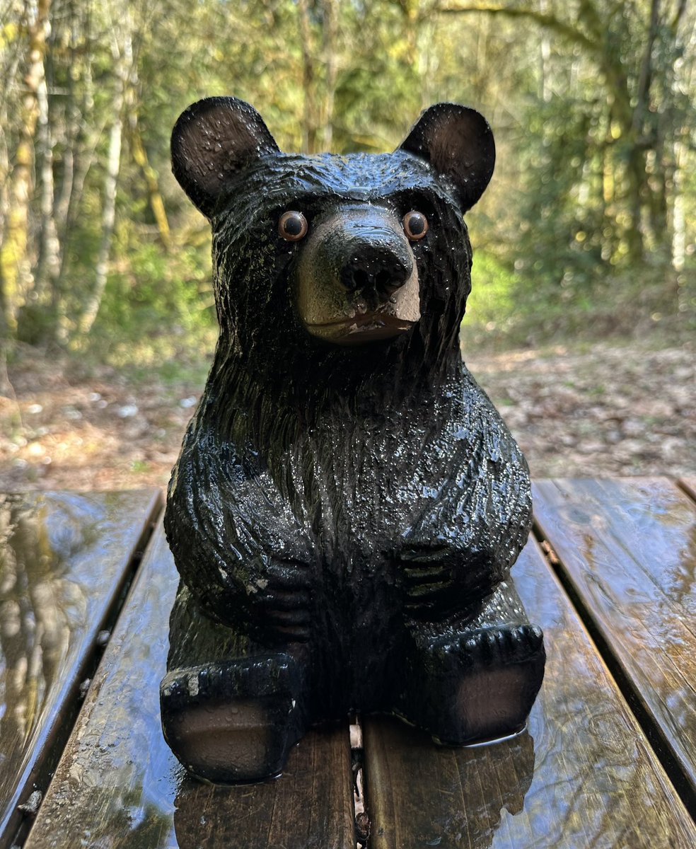 🄼🄾🅄🅂🄴 tweet media