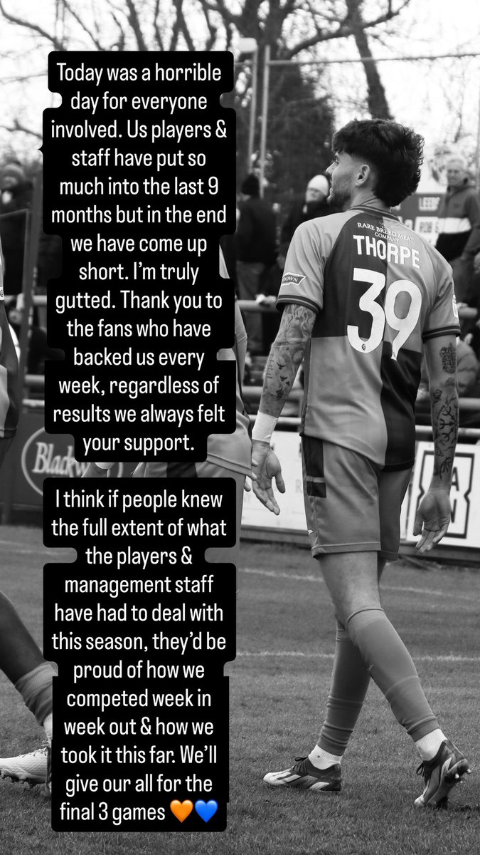 Elliot Thorpe tweet media