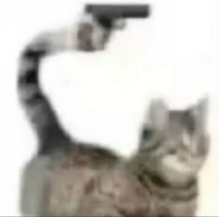 quiffmania ☆⋆｡‧. 🖤💚 tweet media