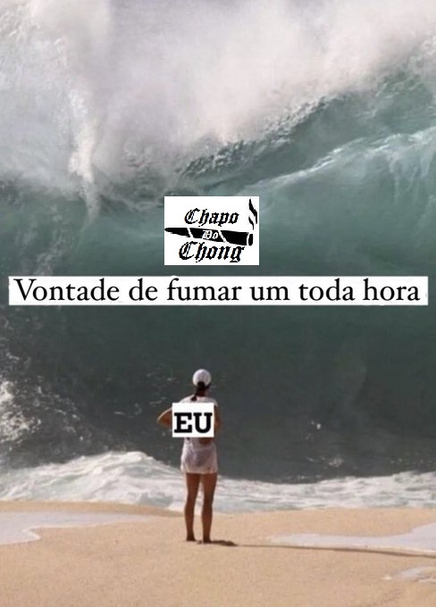 Chapo Do Chong (@chapodochong) on Twitter photo 