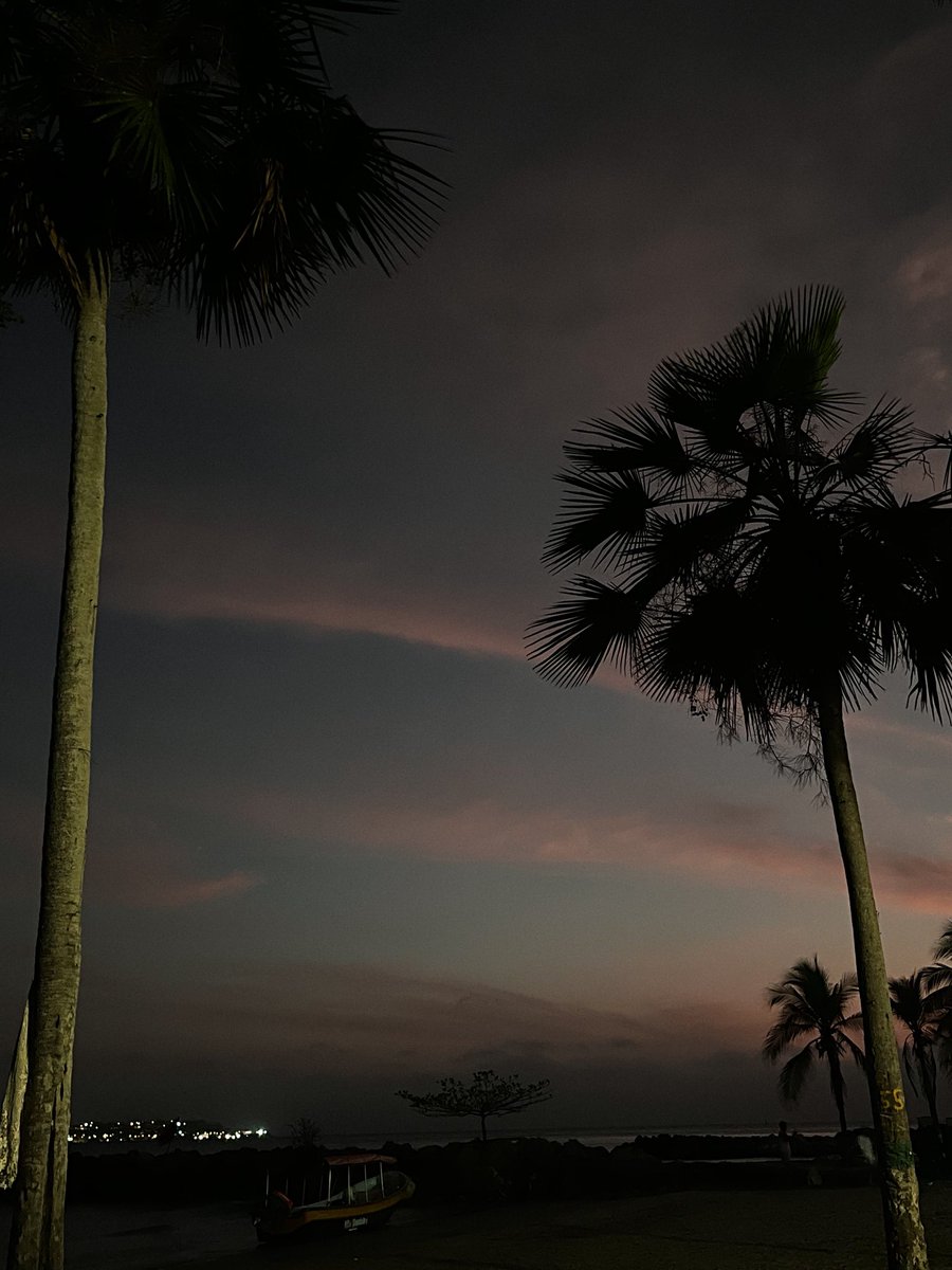 Gabriela tweet media