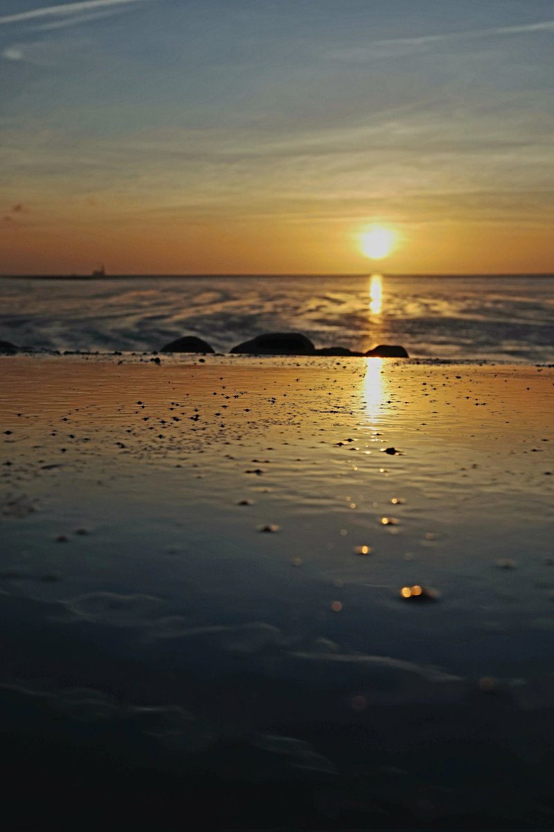 Frau_Flo tweet media