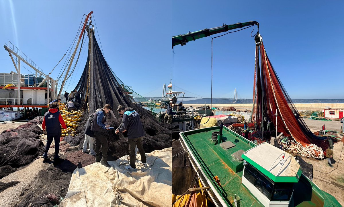 bsgmtr's tweet photo. 🐟 Mavi yüzgeçli orkinos av sezonu öncesinde, 2026-2028 Genelgesi kapsamında başvuran ve teknik şartları sağlayan balıkçı gemilerinin av donanımı ve ağ ölçümleri tamamlanarak mevzuata uygunlukları denetlendi.

⛴️ Sürdürülebilir balıkçılık hedefiyle yürütülen çalışmalar kıyı illerimizde tamamlandı.

@TCTarim