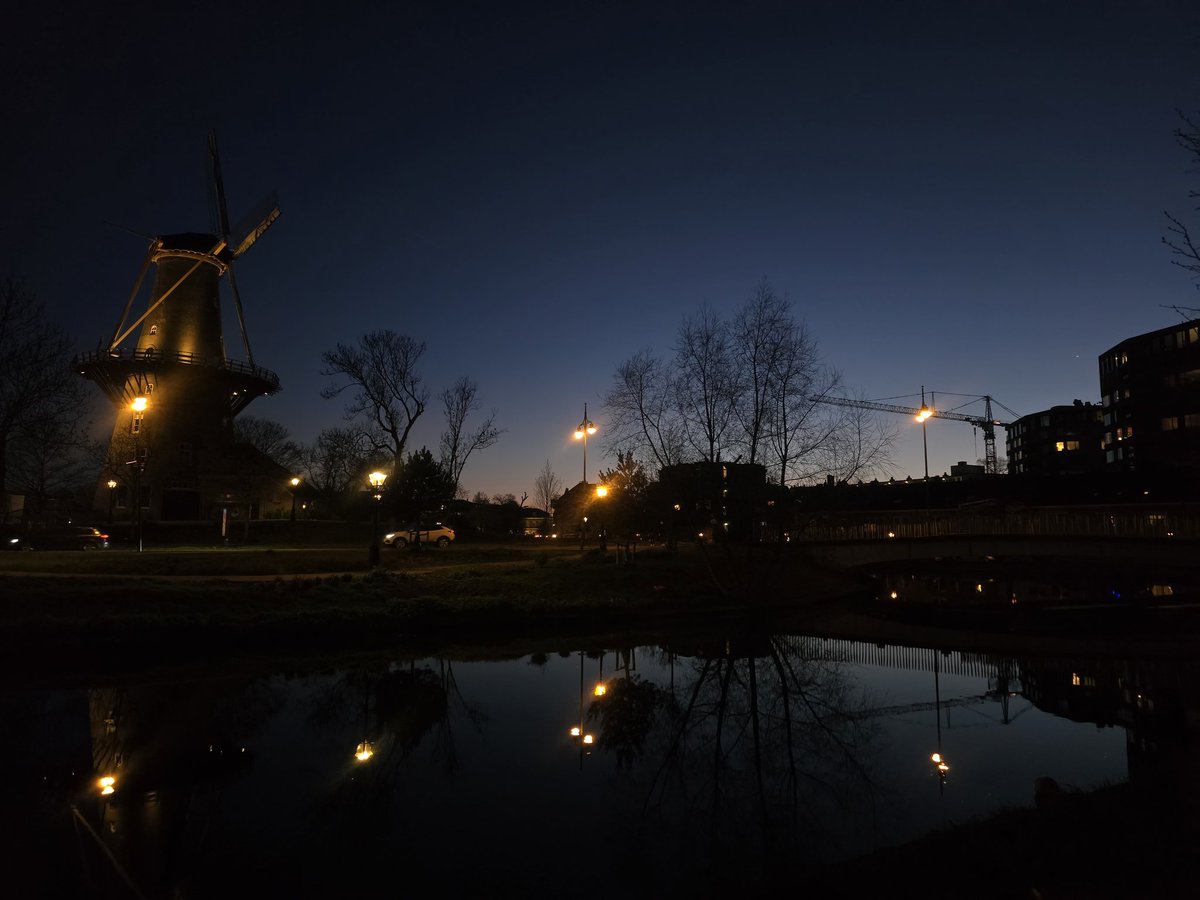 Dr. Pigeon tweet media