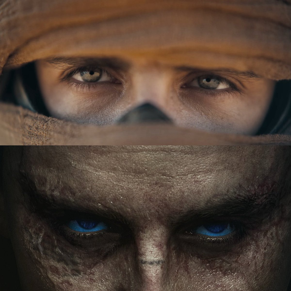 ✩ mena tweet media