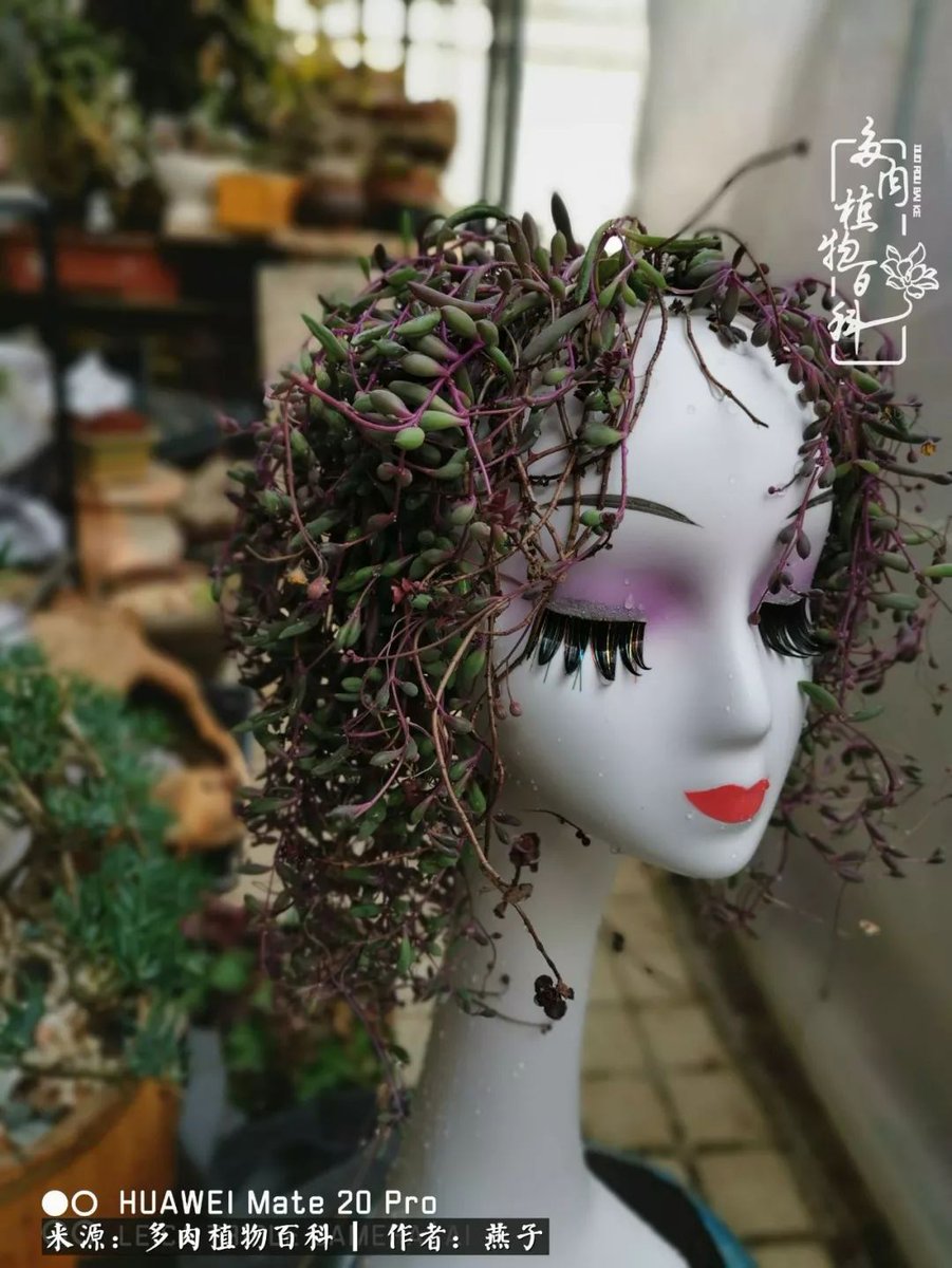 Jessica Watson tweet media