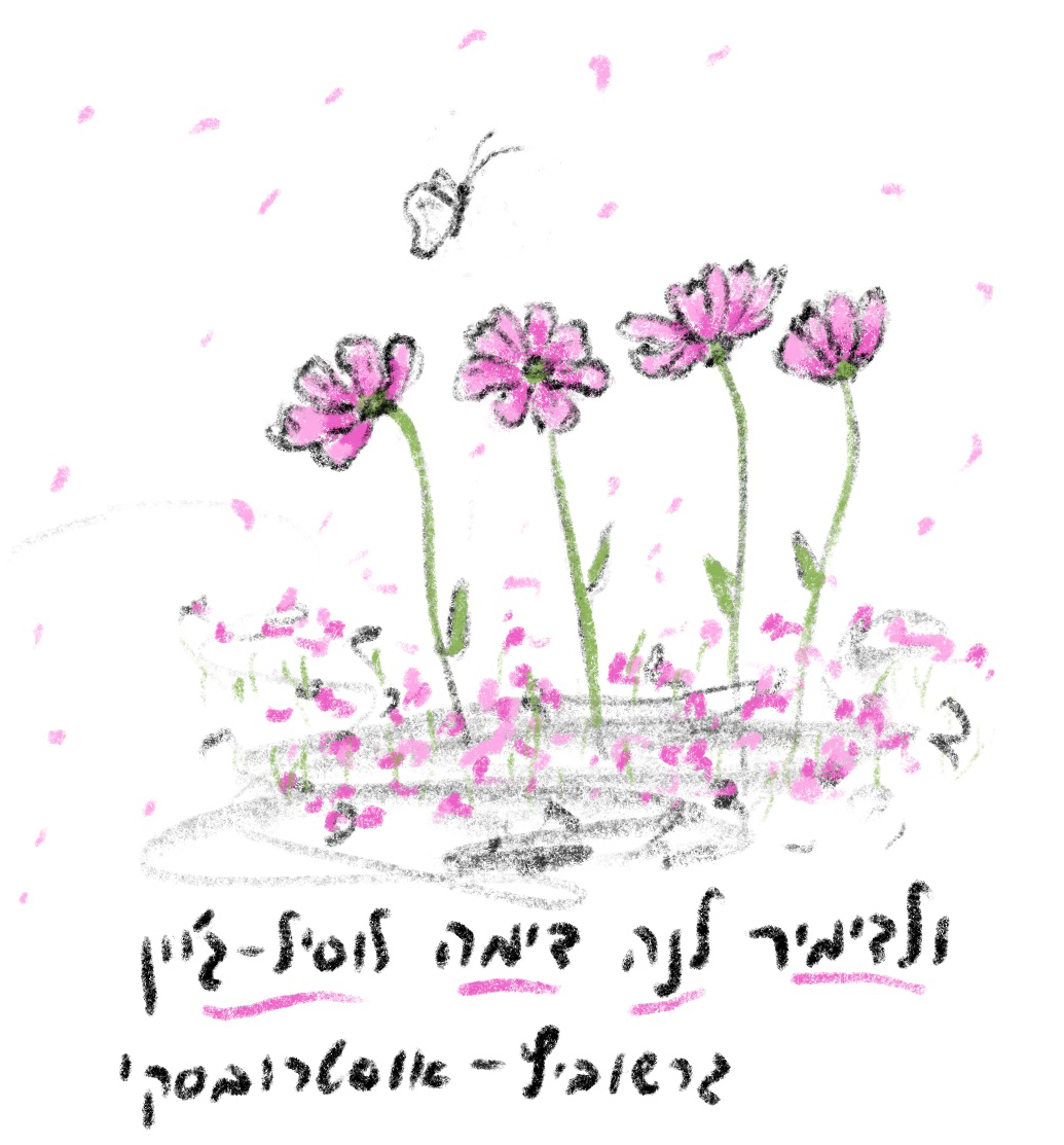רפי tweet media