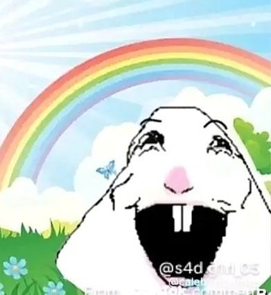 fifi 🔸 tweet media