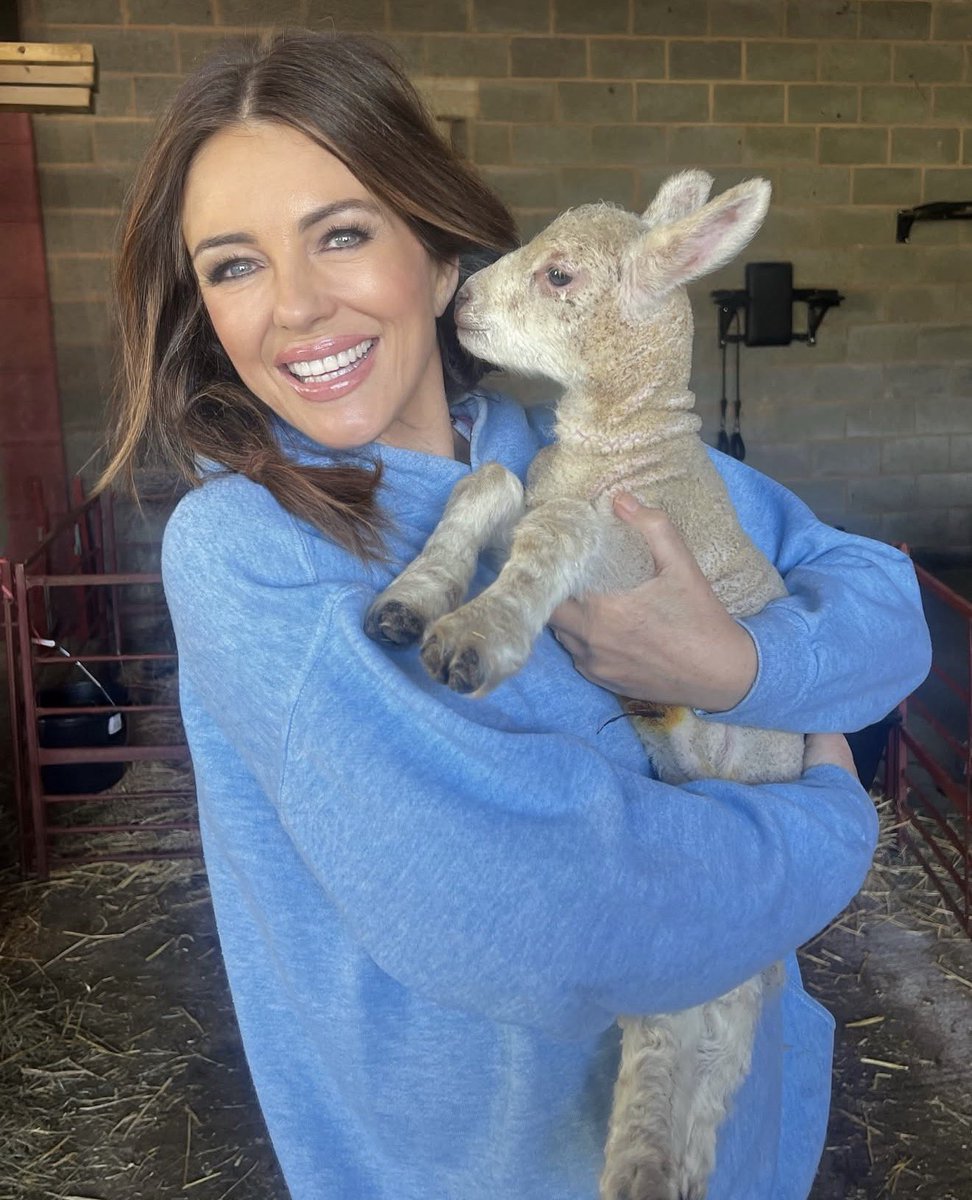 Billy Ray Cyrus tweet media