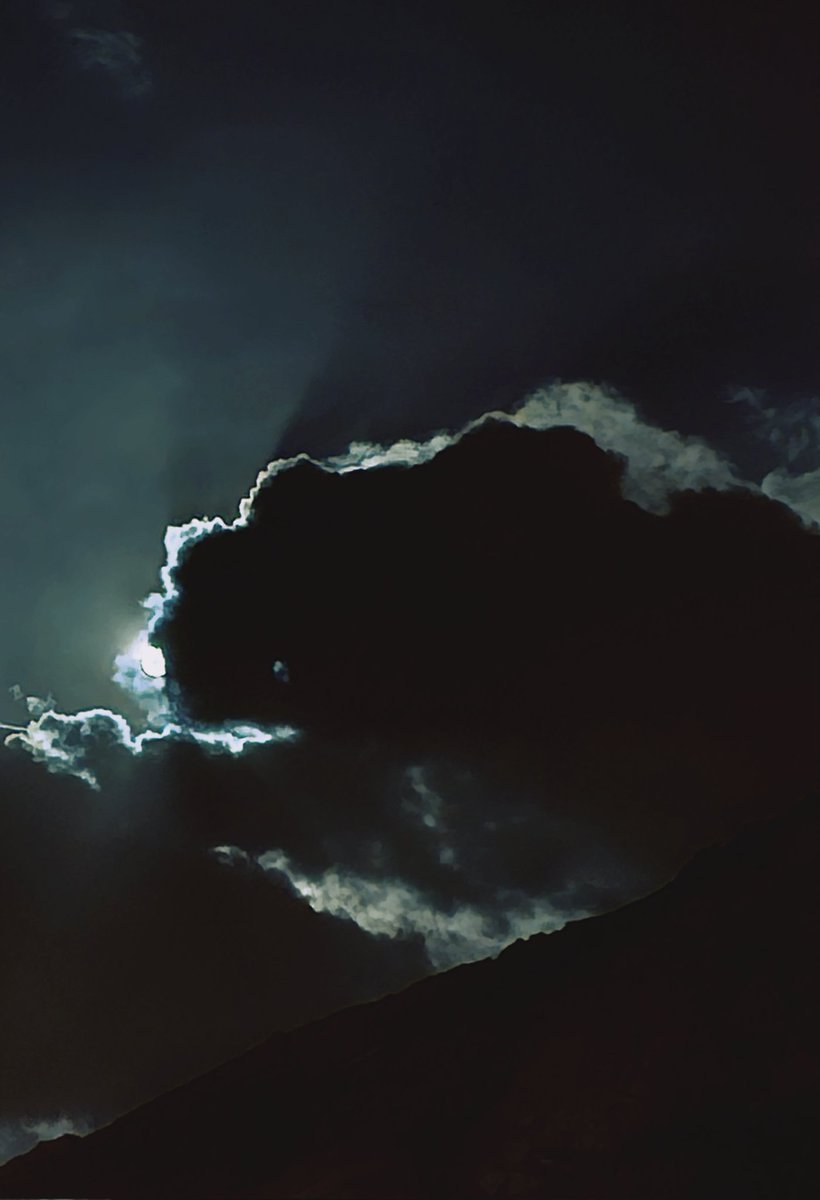 ꜱʜᴇʟʟᴇʀ tweet media